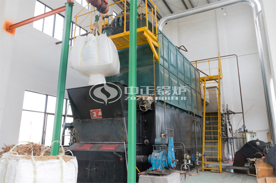 巴基斯坦飼料行業8噸/時SZL燃煤鏈條爐項目